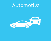 Segmento - Automotiva